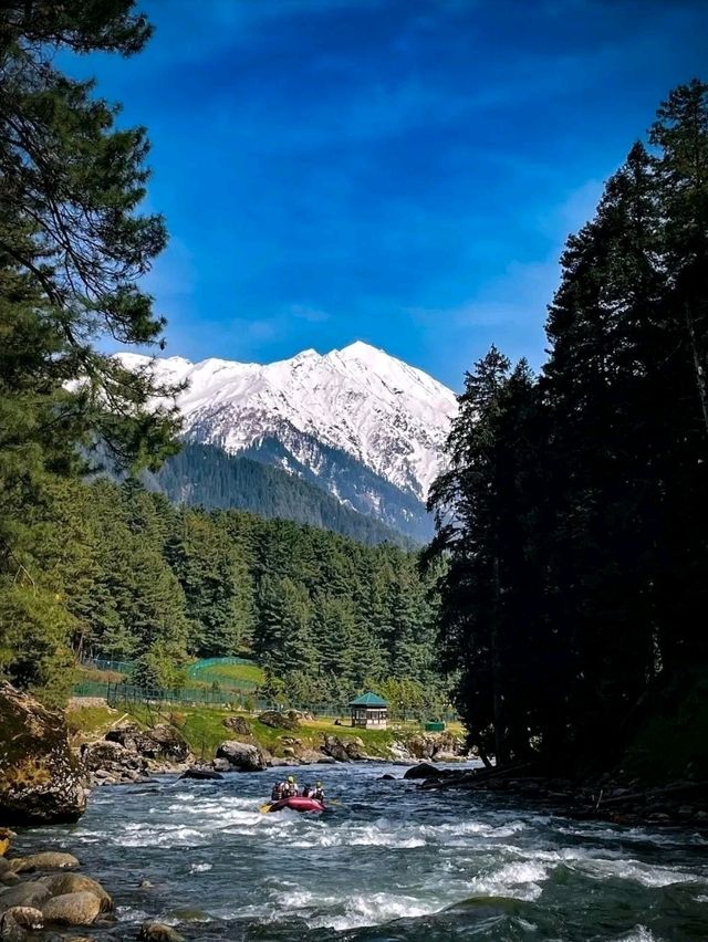 Srinagar – A Soulful Symphony of Lakes, Mountains, and Culture