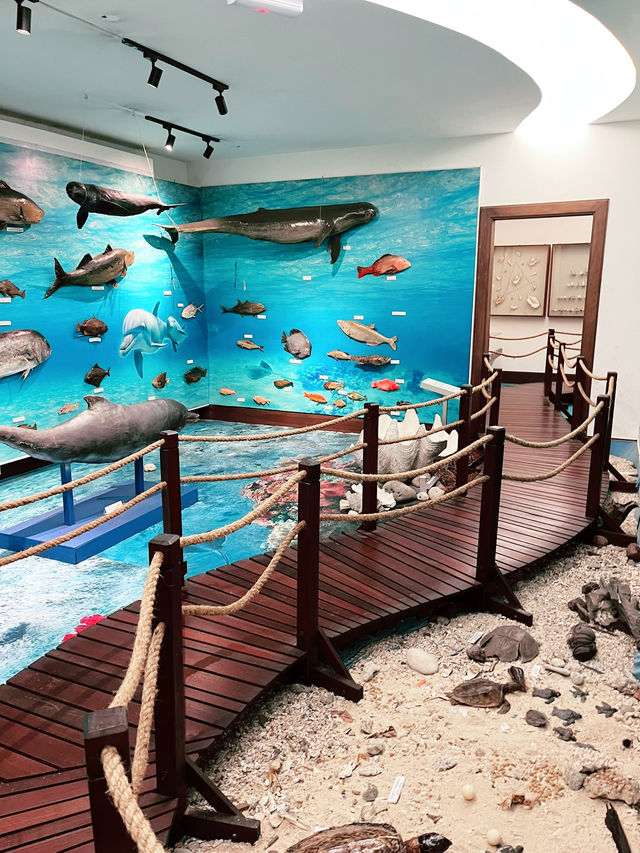  Discover the Wonders of the Natural History Museum in Downtown Kuching
