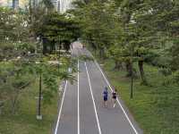 Benchakitti Park: Run, Chill, Unwind