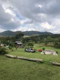 ⛰️🌫️ พาชมทะเลหมอก “ยอดเขาเทวดา” สุพรรณบุรี 