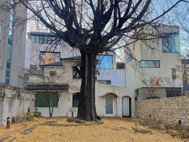 🏯 경복궁 하루 코스 추천🎐 서울 도심 속 조용한 힐링 