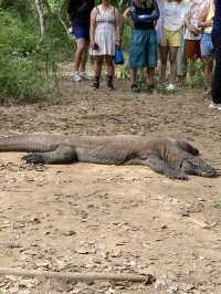 Labuan Bajo, a Komodo experience 