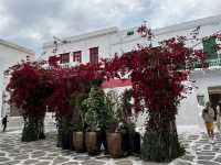 Mykonos Island Dreams