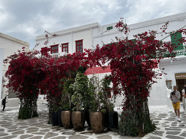 Mykonos Island Dreams