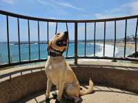 best LA coast experience