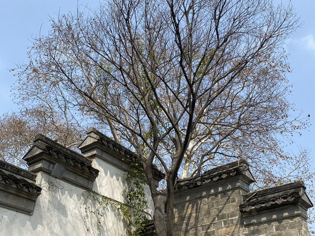 南京 老門東 老城南的現代新焦點