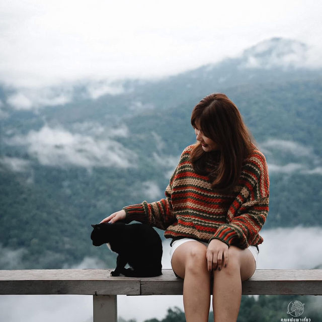 โฮมสเตย์วิวดี ที่ทาสเเมวไม่ควรพลาด🐱