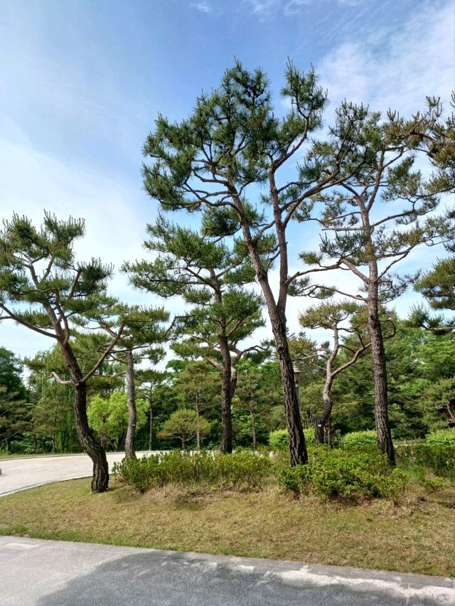 다보탑 앞에서 나누는 역사 이야기