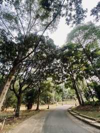 Weekend Plans? Let’s Cycle, Jog, Breakfast & More at Taman Botani Putrajaya!