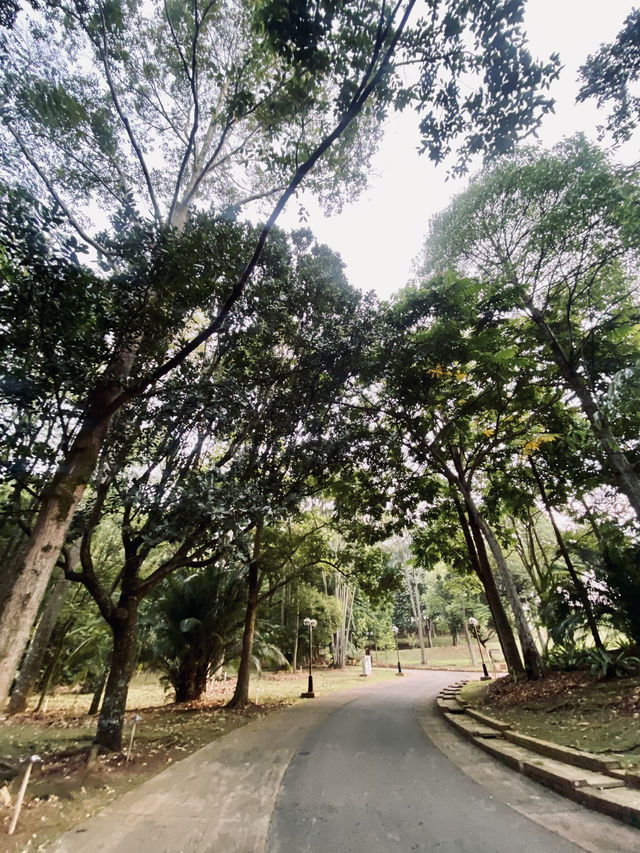 Weekend Plans? Let’s Cycle, Jog, Breakfast & More at Taman Botani Putrajaya!