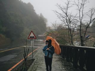 在台灣阿里山的雨天散步🌧️☔️