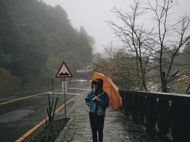 เดินเล่นในวันฝนตกที่อาลีซาน ไต้หวัน 🌧️☔️