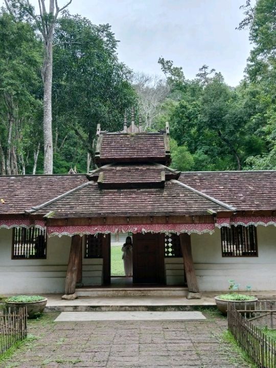 วัดผาลาดวัดสวยกลางป่าท่ามกลางธรรมชาติ เชิงดอยสุเทพ
