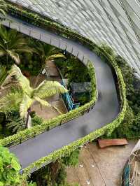 Cloud Forest — A Cool Summer Escape in Singapore’s Urban Jungle