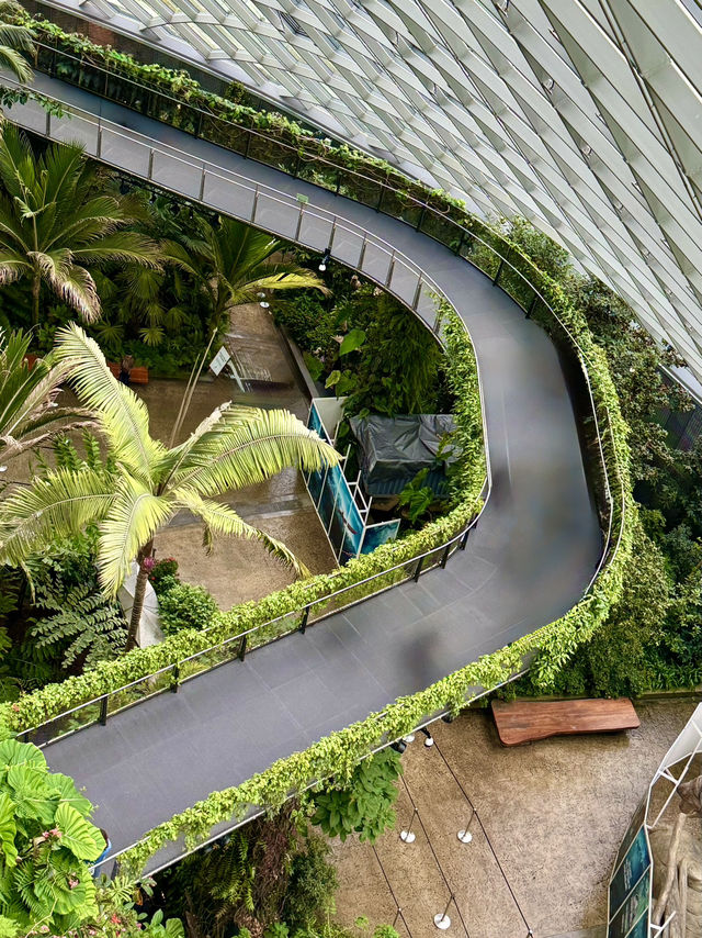 Cloud Forest — A Cool Summer Escape in Singapore’s Urban Jungle