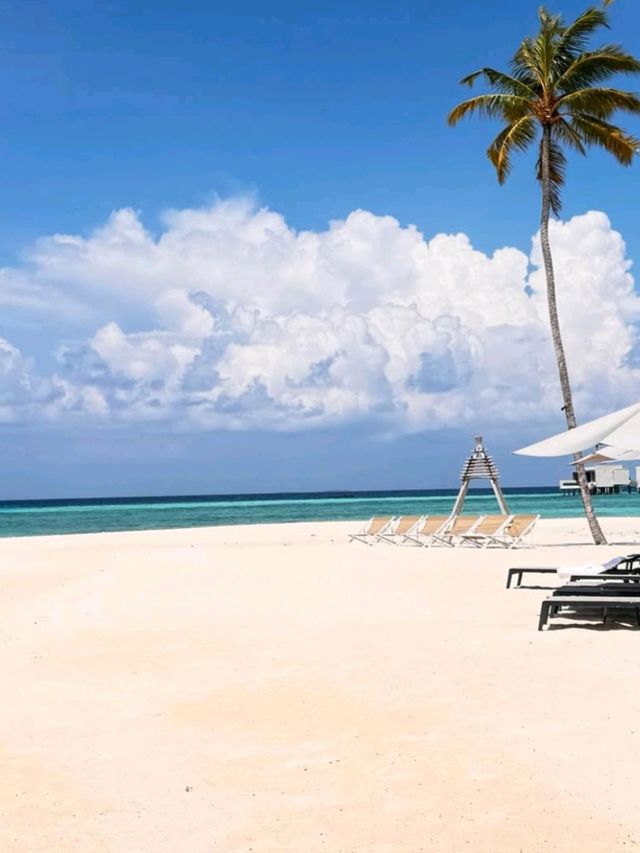 🌴 Alila Kothaifaru Maldives – A Peaceful Island Escape 🏝️