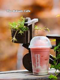 🧃 The Nature Cafe