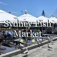 Sydney Seafood Market | Sydney Fish Market 🦞🐟