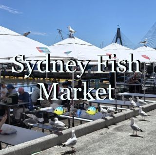 Sydney Seafood Market | Sydney Fish Market 🦞🐟