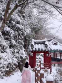하얀 눈 가득 내려 절경을 이루는 청주 백석정❄️🩵