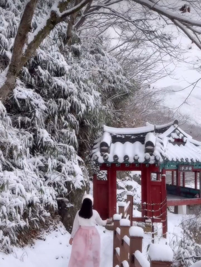 하얀 눈 가득 내려 절경을 이루는 청주 백석정❄️🩵