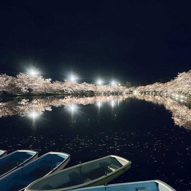 弘前城夜櫻-難以形容的美麗