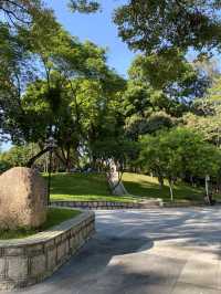 想不到深圳中山公園是這麼吸引的！！