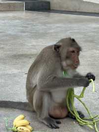 ไปลุยเขาสามมุก ปี 2025 
