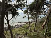 Embrace Noosa National Park