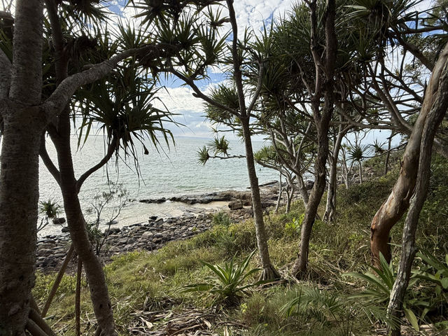 Embrace Noosa National Park
