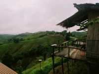ขับรถเที่ยวหน้าฝน… ชมวิวถนนลอยฟ้า​ 