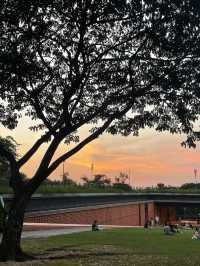 รีวิวสวนจุฬา 100 ปี ปอดใจกลางเมืองกรุงเทพ