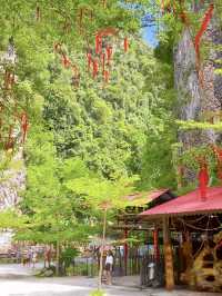 Qing Xin Ling: Ipoh’s Ultimate Instagram-Worthy Hidden Gem!