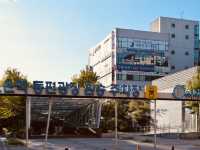 Step Back in Time at the Daejeon Prehistoric Museum