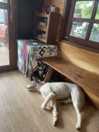 ☕ KAWAN Home Coffee – A Cozy Café in Mae