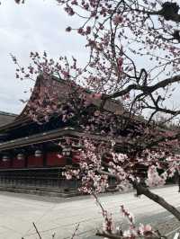 Kyoto strolling! 