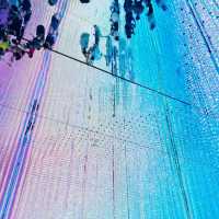 Walking Through Light: A Surreal Escape at teamLab Planets Tokyo 🇯🇵