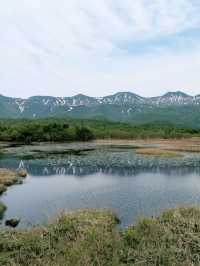Where the Forest Breathes: Shiretoko Goko