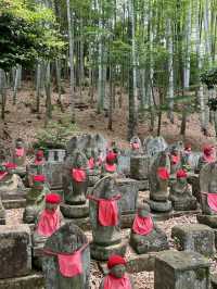 愛知]まるで京都のような竹林と紫陽花のコラボレーション🩵✨