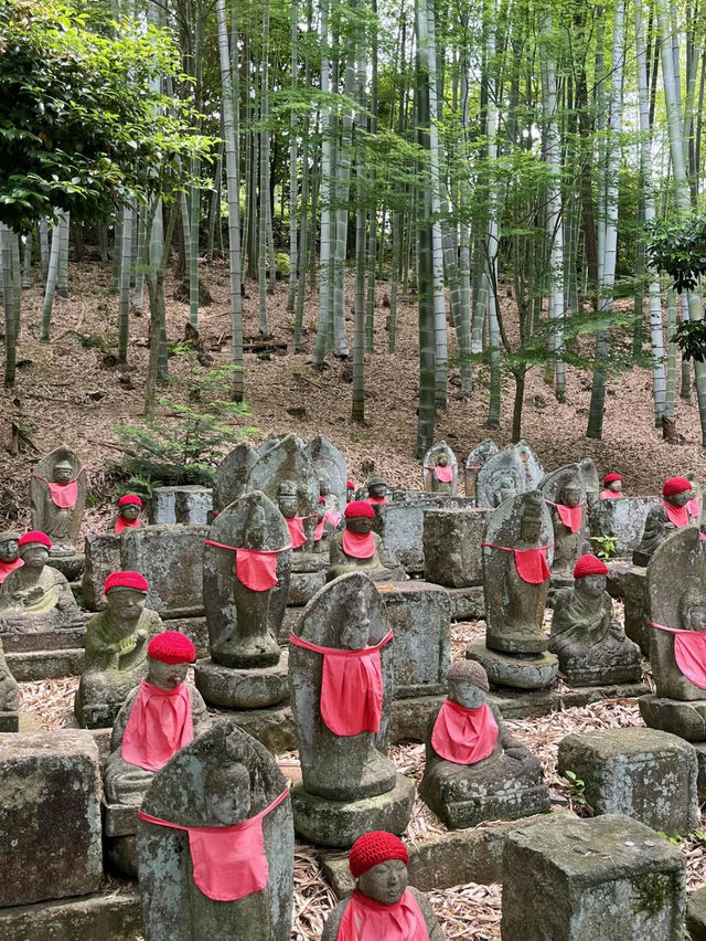 愛知]まるで京都のような竹林と紫陽花のコラボレーション🩵✨