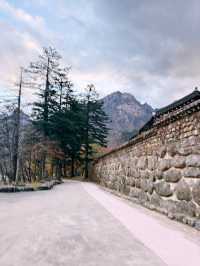 [설악산 여행기] 걷는 것만으로도 위로가 되는 시간, 설악산🌲