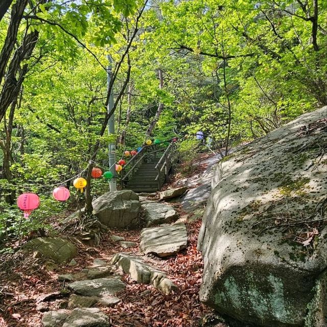 Temple Vibes + Nature Feels
