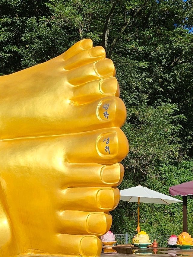 K-붓다빌리지 33m 와불이 있는 경주 감포 명소!