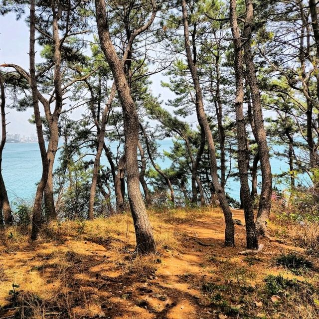 Cliff Walks, Ocean Breeze, and Zero Regrets