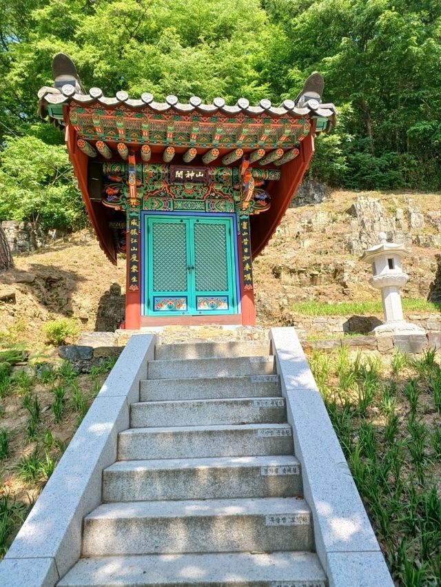 초록숲 속 힐링 산책, 장춘사로 떠나요🌿