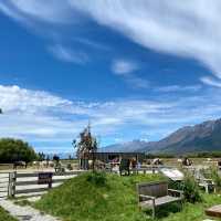 Exploring Glenorchy: A Horse Riding Adventure! 🐴🌲