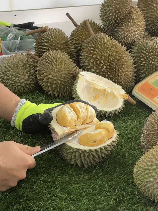 我的脂肪來自檳城榴槤