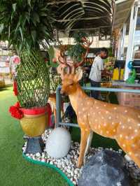 Chill Vibes and Caffeine: Desaru’s Affordable Plant Cafe Experience