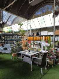 Budget Stroll Among Hanging Gardens and Bonsai