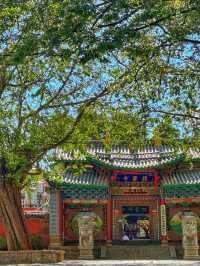 Yunnan Hidden Gem 💎 